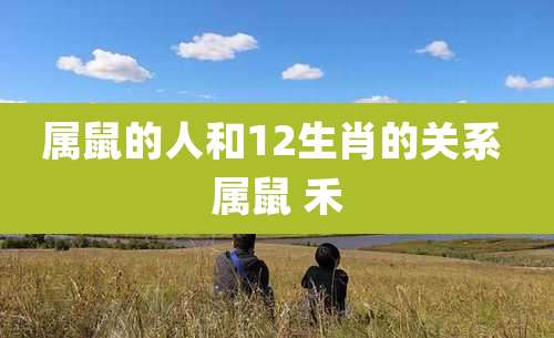属鼠的人和12生肖的关系 属鼠 禾