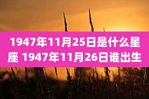 1947年11月25日是什么星座 1947年11月26日谁出生