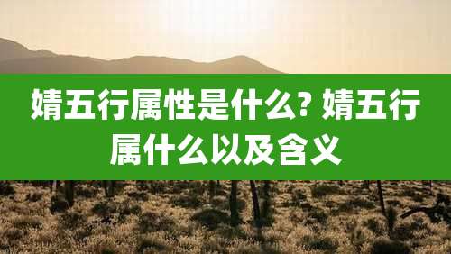 婧五行属性是什么? 婧五行属什么以及含义