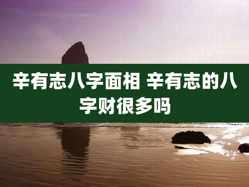 辛有志八字面相 辛有志的八字财很多吗