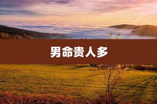 男命贵人多