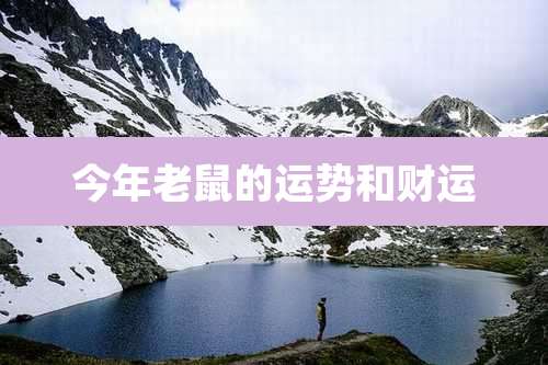 今年老鼠的运势和财运