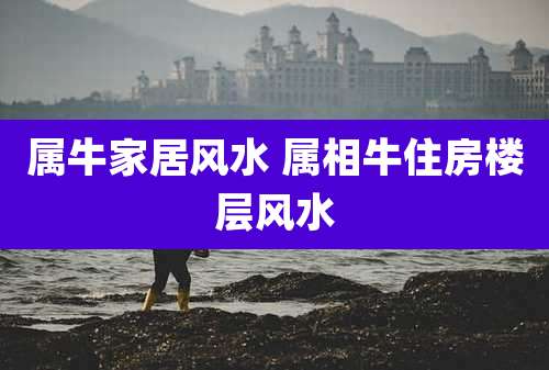 属牛家居风水 属相牛住房楼层风水