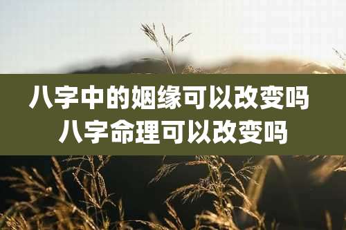 八字中的姻缘可以改变吗 八字命理可以改变吗