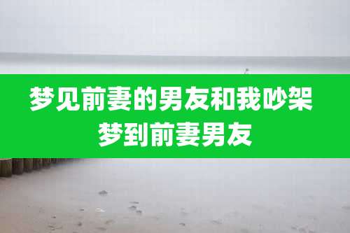 梦见前妻的男友和我吵架 梦到前妻男友
