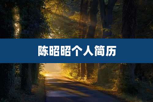 陈昭昭个人简历