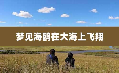 梦见海鸥在大海上飞翔