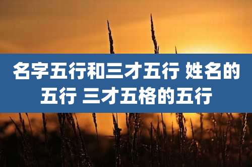 名字五行和三才五行 姓名的五行 三才五格的五行