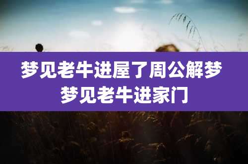 梦见老牛进屋了周公解梦 梦见老牛进家门