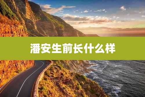 潘安生前长什么样