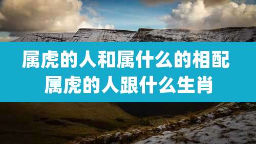 属虎的人和属什么的相配 属虎的人跟什么生肖