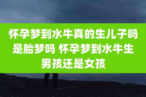 怀孕梦到水牛真的生儿子吗是胎梦吗 怀孕梦到水牛生男孩还是女孩
