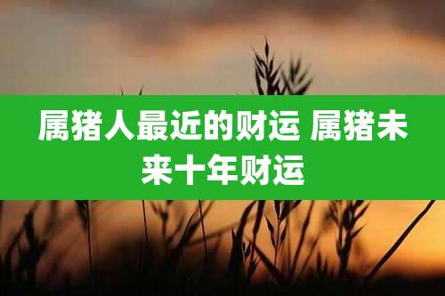 属猪人最近的财运 属猪未来十年财运