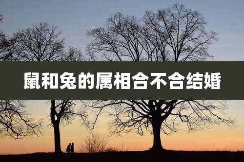 鼠和兔的属相合不合结婚