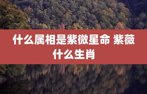 什么属相是紫微星命 紫薇什么生肖