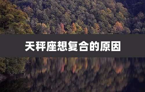 天秤座想复合的原因