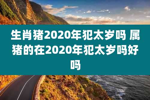 生肖猪2020年犯太岁吗 属猪的在2020年犯太岁吗好吗