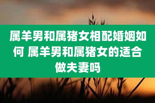属羊男和属猪女相配婚姻如何 属羊男和属猪女的适合做夫妻吗