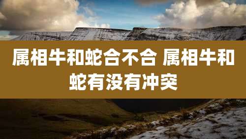 属相牛和蛇合不合 属相牛和蛇有没有冲突