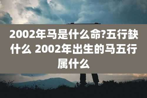2002年马是什么命?五行缺什么 2002年出生的马五行属什么