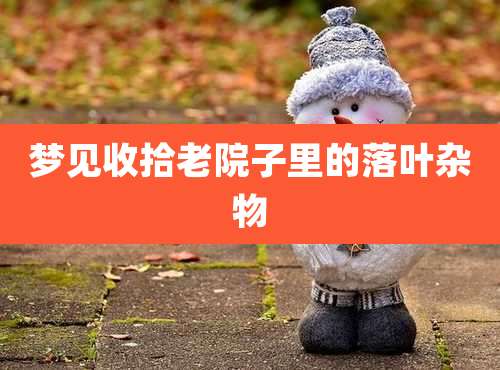 梦见收拾老院子里的落叶杂物