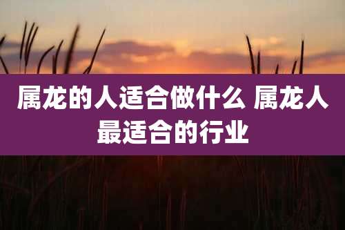 属龙的人适合做什么 属龙人最适合的行业