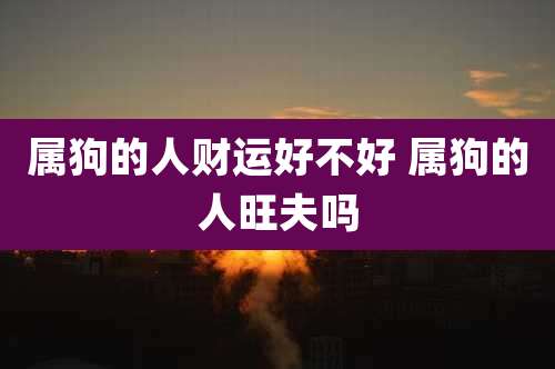 属狗的人财运好不好 属狗的人旺夫吗