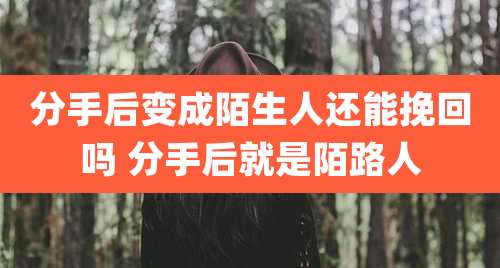 分手后变成陌生人还能挽回吗 分手后就是陌路人