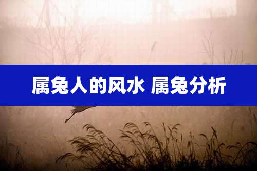 属兔人的风水 属兔分析