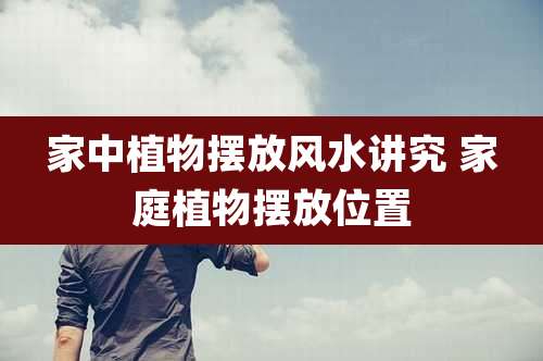 家中植物摆放风水讲究 家庭植物摆放位置