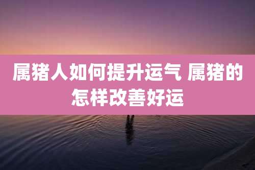 属猪人如何提升运气 属猪的怎样改善好运