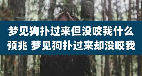 梦见狗扑过来但没咬我什么预兆 梦见狗扑过来却没咬我