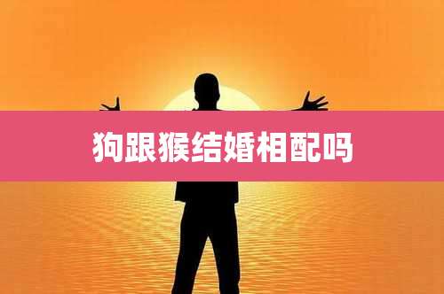 狗跟猴结婚相配吗