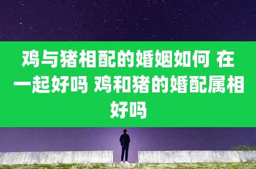 鸡与猪相配的婚姻如何 在一起好吗 鸡和猪的婚配属相好吗