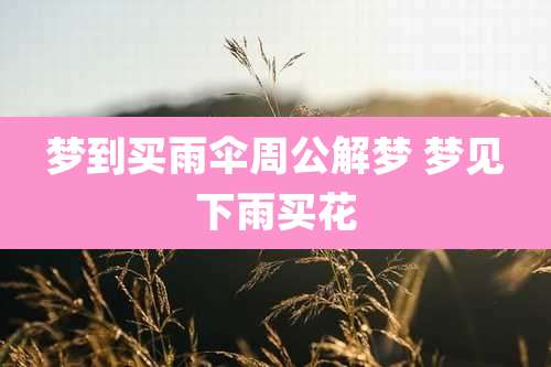 梦到买雨伞周公解梦 梦见下雨买花