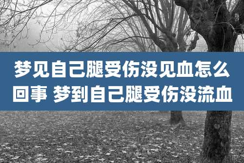 梦见自己腿受伤没见血怎么回事 梦到自己腿受伤没流血