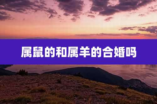 属鼠的和属羊的合婚吗