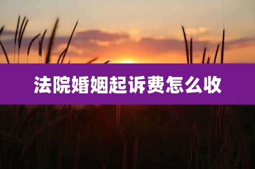 法院婚姻起诉费怎么收