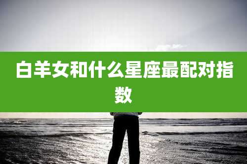 白羊女和什么星座最配对指数