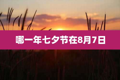 哪一年七夕节在8月7日