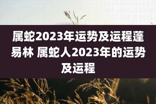 属蛇2023年运势及运程蓬易林 属蛇人2023年的运势及运程