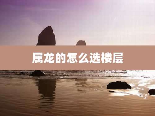 属龙的怎么选楼层