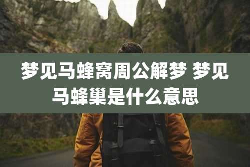 梦见马蜂窝周公解梦 梦见马蜂巢是什么意思