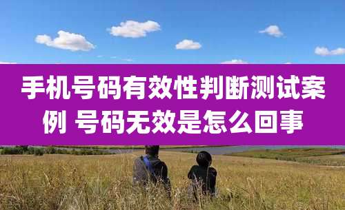 手机号码有效性判断测试案例 号码无效是怎么回事