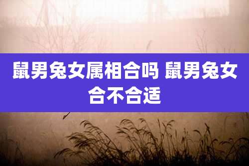 鼠男兔女属相合吗 鼠男兔女合不合适