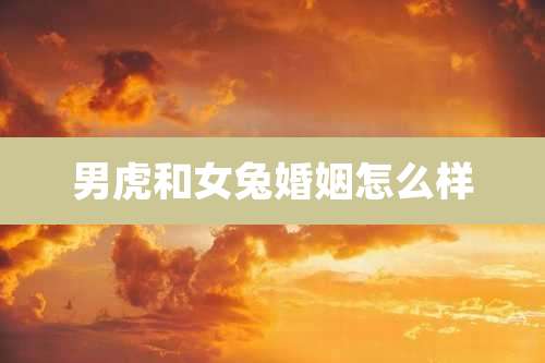 男虎和女兔婚姻怎么样