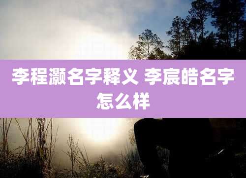 李程灏名字释义 李宸皓名字怎么样