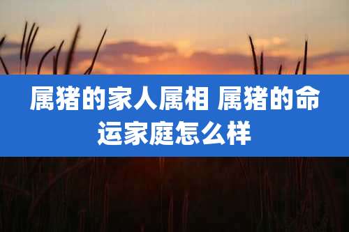属猪的家人属相 属猪的命运家庭怎么样
