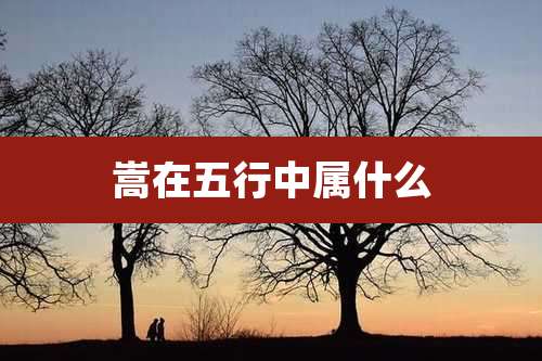 嵩在五行中属什么