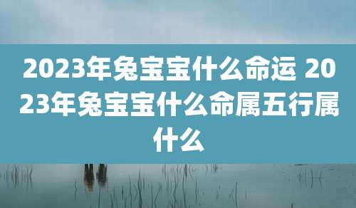 2023年兔宝宝什么命运 2023年兔宝宝什么命属五行属什么